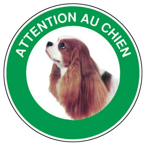 Panneau Attention au chien Cavalier king charles - Rigide Ø180mm - 4040424
