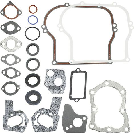 Serie guarnizioni Vecchi 4 e 5 HP orizzontali 100200, 130200, 132200 -320033