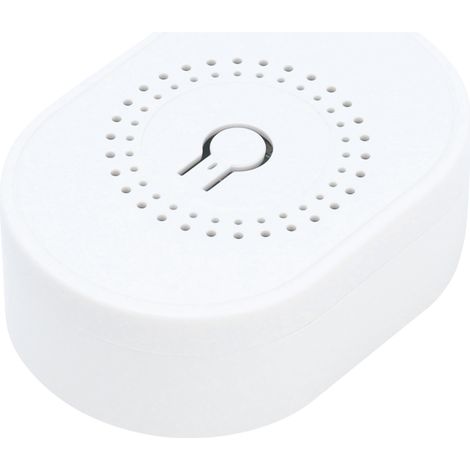 Interrupteur Variateur Mini Intelligent Gradation Continue Partageable Trois Modes de Câblage Contrôle Double par Application pour Lumière WIFI Blanc (1/5)