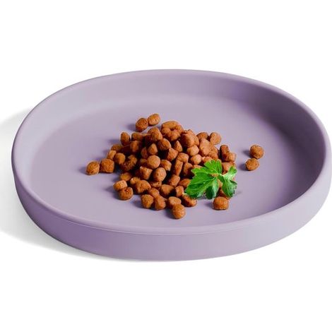 Arenero plano de silicona - Cuenco grande de silicona - Arenero - Comedero para gatos - Morado (1/5)