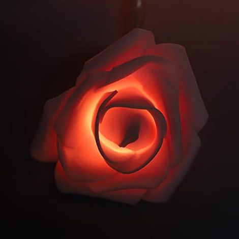Guirlande Lumineuse Rose 20 LED, 3 Mètres, USB, Fleurs (3 mètres (1/5)