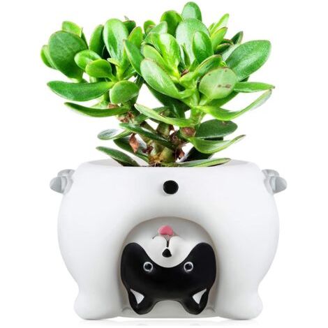 Pot de Fleurs d‘’Animal Mignon Pots de Fleurs de Dessin Animé Mini Pots de Plantes Succulentes Petit Pot de Plantes en Résine Mignon avec Trou de Vidange, 2,6 Pouces (Chien Blanc) (1/5)