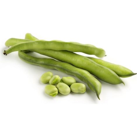 Semi di Fava "aguadulce supersimonia" piante per orto e giardino coltivazione domestica e professionale kg 1