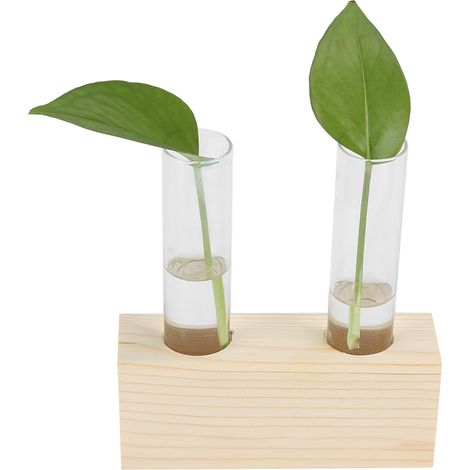 Minijarra hidropónica con sistema de doble tubo, soporte de madera de pino, cristal y base para oficina y hogar – incluye 2 tubos y base. (1/5)