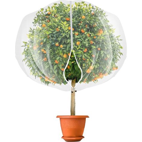 Filet anti-insectes fin de 1,8 x 1,8 m avec cordon de serrage pour protéger les plantes, les fruits, les fleurs contre les insectes et les oiseaux (1/5)