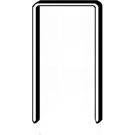 5 000 Agrafes Galvanisées Ak-20 - 12.35x20x0.75x1.4 mm - D-Work (1/2)
