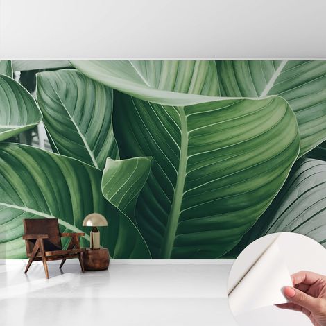 Selbstklebend Tapete - Wandgestaltung - Tapete Wohnzimmer - Flur Eingangsbereich Grüne Ruhe 416x254 cm (1/5)