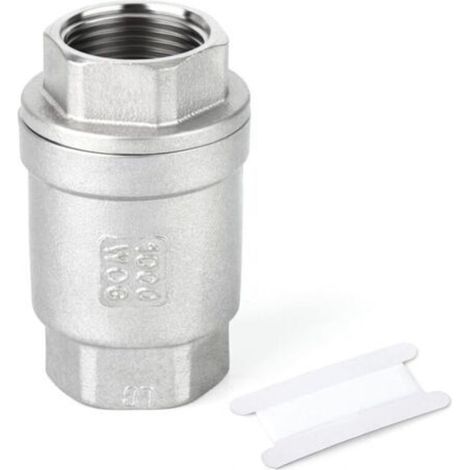 3/8" BSP Female x Female Thread, Cast Iron 304 Check Valve, Backflow Prevention (1/5)