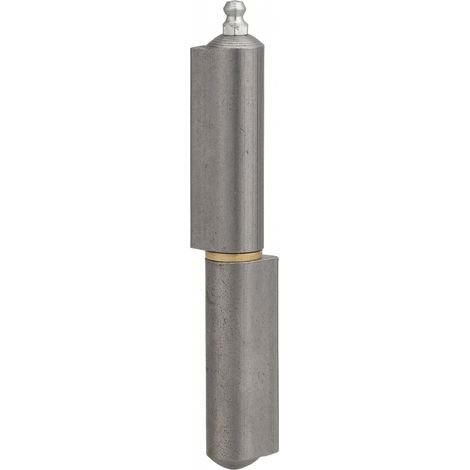Thirard – Paumelle de porte d'entrée et d'intérieur à souder – Acier zingué – H.120mm – Butée à billes – Fixation par 3 ou 4 trous (1/4)