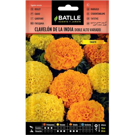 Semi di Fiori – Chiodo Indiano Doppio Alto Assortito – Batlle