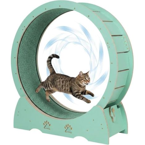 Roue d exercice silencieuse pour chat bois vert menthe 110 cm piste moquette amovible antidérapante intérieur (1/5)