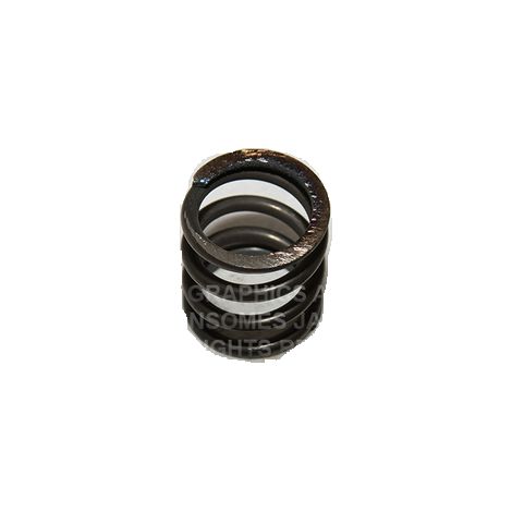 Kompressorfeder RDM Parts Ransomes 3004734