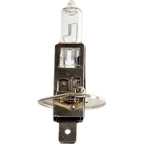 Maxter – Ampoule H1 12V 55W halogène – Faisceau puissant pour phares avant – Homologuée CE – Longue durée de vie (1/2)