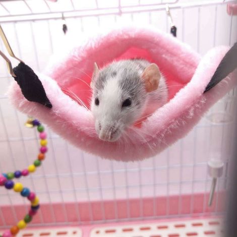 Hamac suspendu pour hamster rose, écureuil, nid douillet d'hiver, cage-grotte rose (1/5)