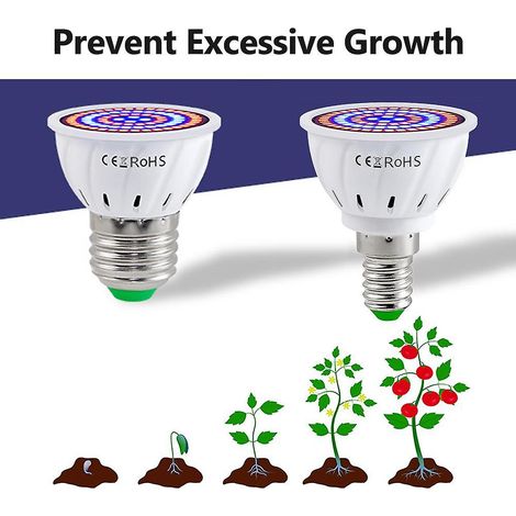 Lot de 2 ampoules LED de croissance pour plantes d'intérieur, spectre rouge et bleu, culot E14 ( ) (1/5)