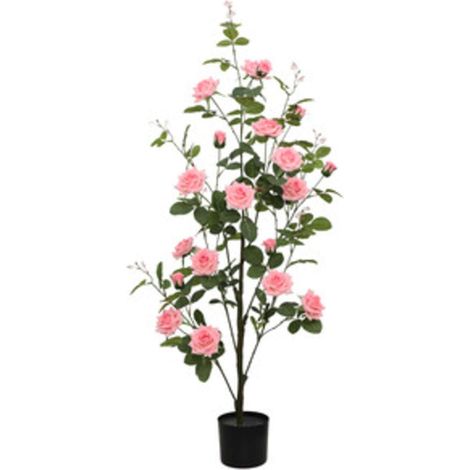 C ROSA 130 CM