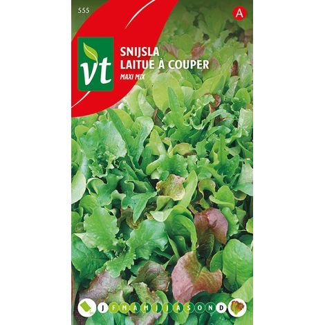 Laitue à Couper Maxi Mix - Ca. 4 gr (Livraison Gratuite) (1/2)