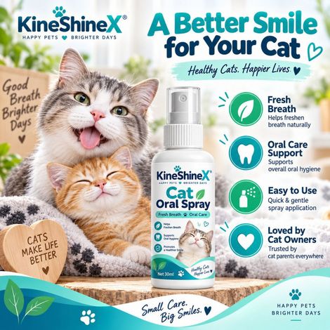 KineShineX Katzen-Mundspray: Erfrischt den Atem und sorgt für die tägliche Mundreinigung bei Haustieren (1/5)