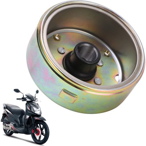 Le rotor de magnéto du volant moteur a 8 pôles et convient au scooter GY6 (125cc, 150cc). (1/5)
