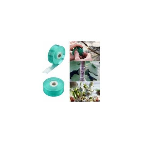 Lot de 2 rubans de greffage pour arbres fruitiers de 20 mm de large, barrière anti-humidité biodégradable, fleuriste transparent extensible - Crezuo (1/4)