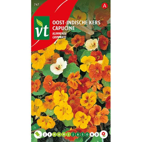 Capucine Grimpante - Ca. 3.5 gr (Livraison Gratuite)