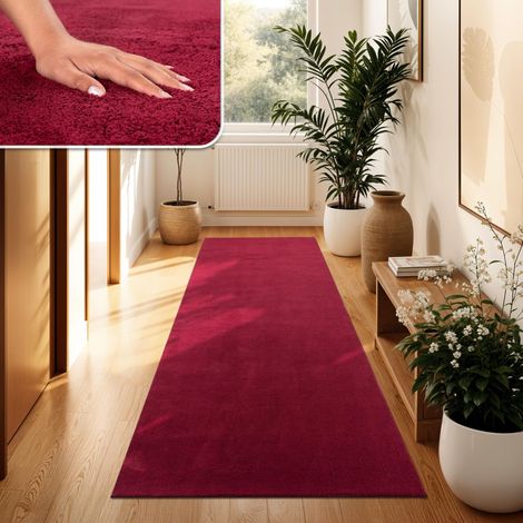 Tapis Salon Moelleux Ultra Doux à Poils Courts - Antidérapant, Lavable, Confort Idéal pour Salon et Chambre, Dimension:100x200 cm, Couleur:Rouge (1/5)