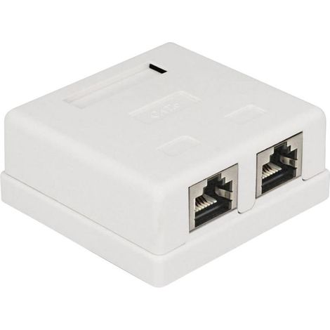 Prise réseau encastré insert avec plaque centrale et châssis CAT 6 2 ports Delock 86269 blanc A069111 (1/3)