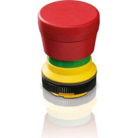 RAFI RAFIX 22 FS Bouton-poussoir lumineux à rappel 1 pc(s)