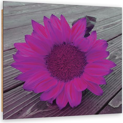 Quadro deco panel, Girasole rosa - 30x30 (1/5)