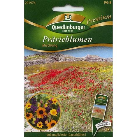Quedlinburger Prärieblumen Mischung - Blumensamen (1/2)