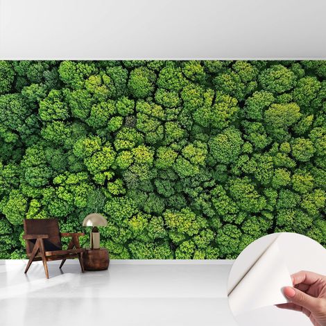 Fotomurale adesivo - murale da parete - Carta da parati autoadesiva - design parete moderno - Panorama boschivo 416x254 cm (1/5)