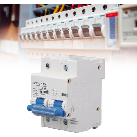 Disjoncteur CC photovoltaïque 10KA 600V (interrupteur de sectionnement CC haute intensité 2P) pour systèmes photovoltaïques solaires (DZ47Z-125D80) (1/5)