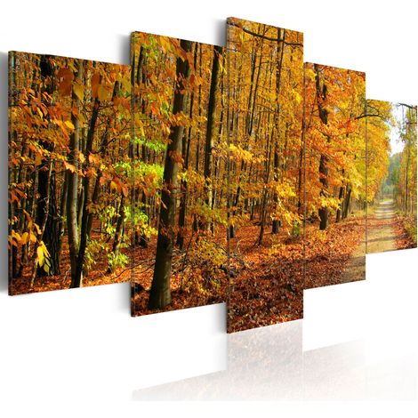 Quadro - Vialetto tra foglie colorate - 200x100 (1/4)