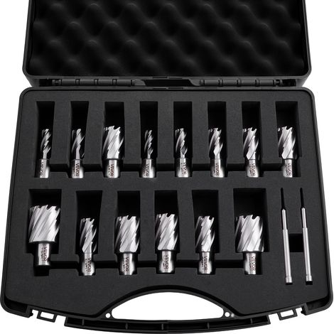 VEVOR Juego de Cortadores Anulares 16 Piezas, Juego de Brocas HSS M2AL de Vástago Weldon, Profundidad de Corte 25,4mm, Diámetro 11,11-34,92mm con 14 Cortadores, 2 Pasadores Guía para Taladro Magnetico (1/5)