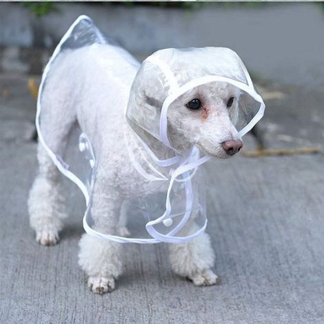Waterproof Dog Coat for Small Dogs and Cats with Adjustable Hood PVC Transparent Lightweight (1/5)