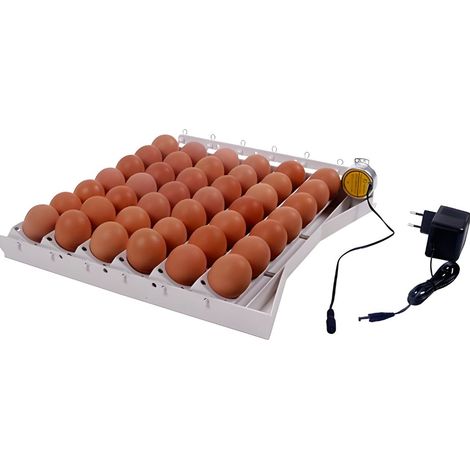 Bandeja volteo automático de huevos