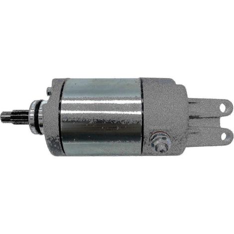 ATV-Anlasser Trx300 Trx300fw 31200ha6-316 49-5700 ATV-Motor - Huncv Edition 0618