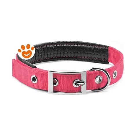 Record Dog Collare Nylon Imbottito Soft Rosa - Confezione 1 Pezzo - Accessori
