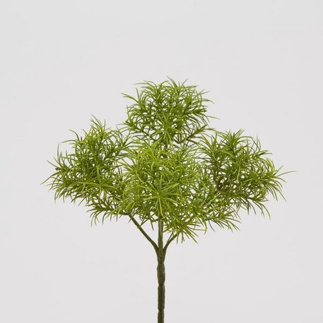 EDG Enzo De Gasperi Tillandsia Bell Pick H30 C0 Green