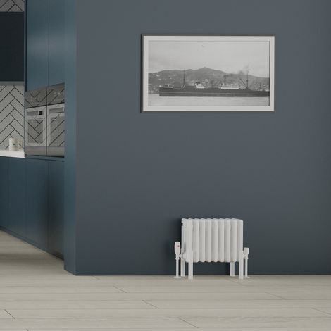 Warmehaus Traditional 4 Column Radiator 300x425 White (1/5)