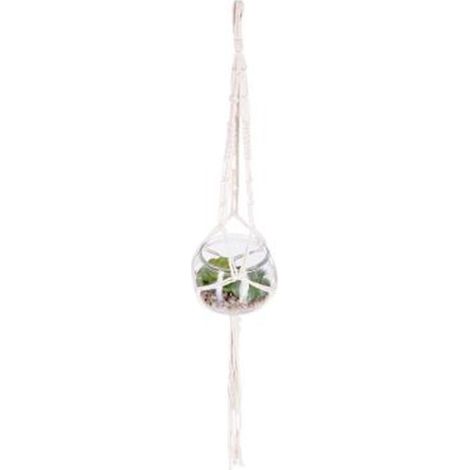 Plante Artificielle à Suspendre "Verre" 53cm Transparent (1/2)