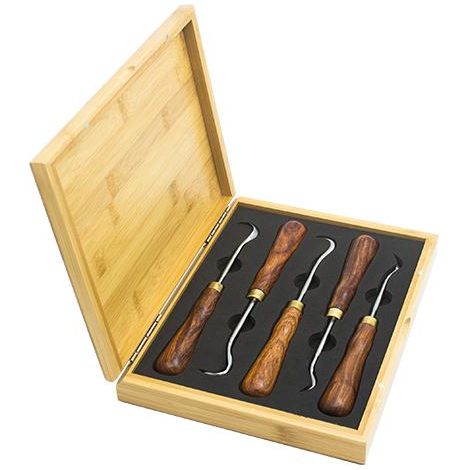 Set professionale di 5 sgorbie per carving in acciaio inox con custodia in legno per bonsai (SG01)