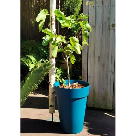 Vaso per fiori RIVIERA SOLEILLA - Plastica - Altezza 53 cm - Blu