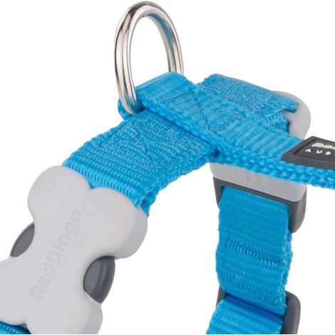Harnais chien réglable Red Dingo Basic turquoise Taille : T2 (1/4)