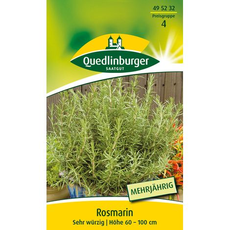 Quedlinburger Rosmarin Mehrjährig - Kräutersamen (1/2)