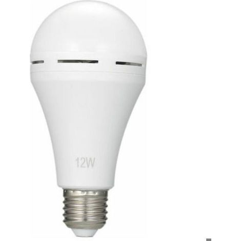 Ampoules D'Urgence Led, E26 / E27, Ac100 240V, Rechargeables, 2Pcs Femeo (1/5)