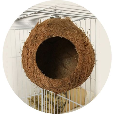 Nid pour perroquet en noix de coco naturelle, mangeoire pour perruches et hamsters