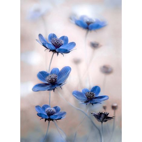 Tableau fleuri rose & bleu idéal chambre adulte | Tableau fleurs moderne pour salon | Tableau sur toile nature pour couloir - 0,5 x 0,7 m (1/2)
