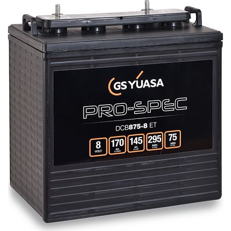 Yuasa – Batterie traction 8V 170Ah – Plomb ouvert – Dimensions 262x181x276mm – Compatible avec Club Car Carryall 232 et autres modèles - DCB875-8
