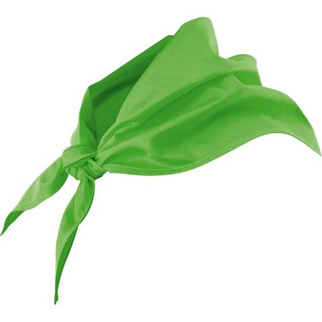 Pico VERDE LIMA U